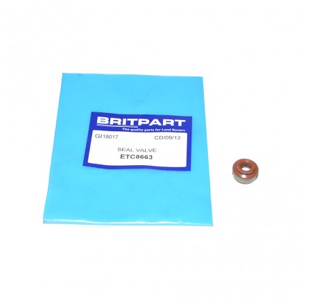 Valve Stem Oil Seal 200/300TDI