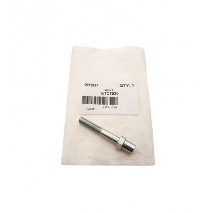 Special Bolt for Rocker Shaft 200 TDI Engines 90/110 Discovery and Range Rover Classic