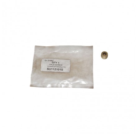 Plug for Detent Spring T/Box 90/110 Disc
