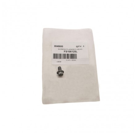 Screw Flange Head M6 x 12mm