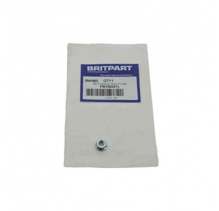 Nut Flanged M6