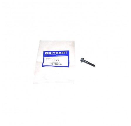 Bolt Flanged 6mm x 35mm