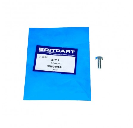 Set Screw 1/4 Unf x 5/8 Various Applications Discovery 90/110