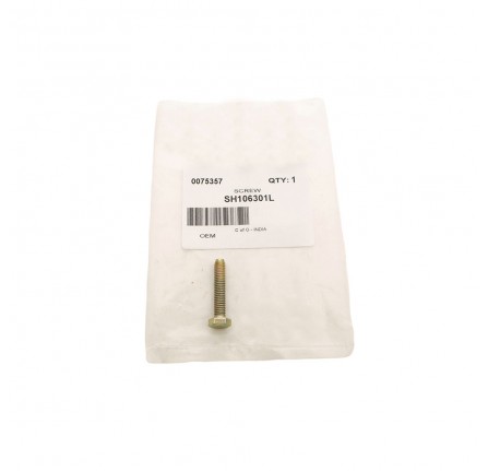 Screw M6 x 30mm