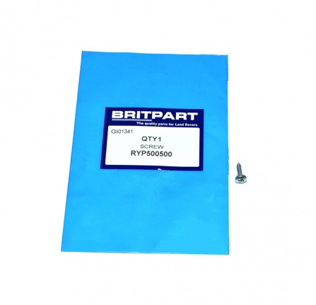 Self Tapping Screw Interior Trim