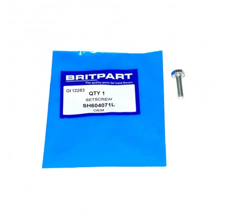 Set Screw 1/4 Unf x 7/8