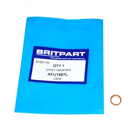 Joint Washer Oil Squirt 2.5 D NA 2.5DT and 200/300 TDI