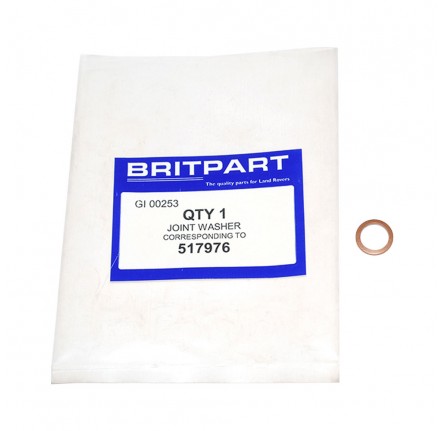 Gasket for Union on Fuel Pump.