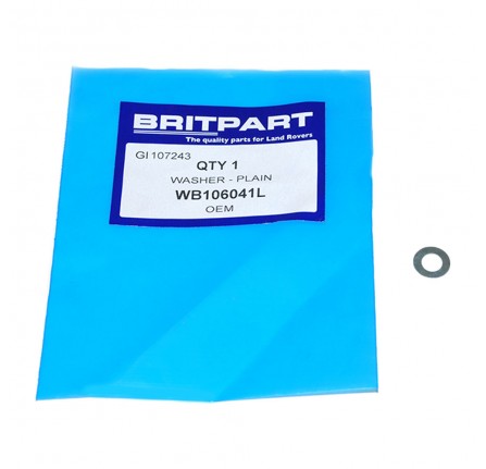 1/4 Inch Flat Body Washer.