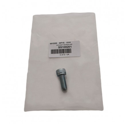 Screw Hexagon Socket M8 x 20mm