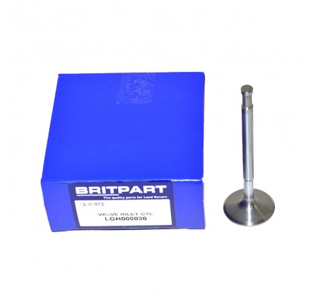 Inlet Valve V8 Engine