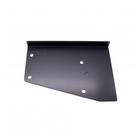 Plate Corner Rear Body Top to Rear Door LH Painted