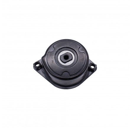 Tensioner Ancillary Drive Freelander TD4 Range Rover 3.0 Litre Diesel