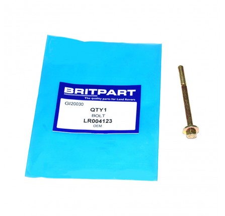 Bolt Egr M6 x 60 mm 2.7 and 3.6 Diesel