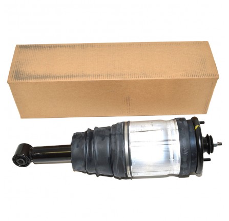 Rear Damper Assy