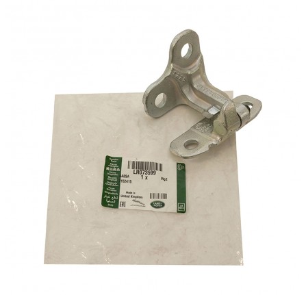 Genuine Door Hinge RH Upper