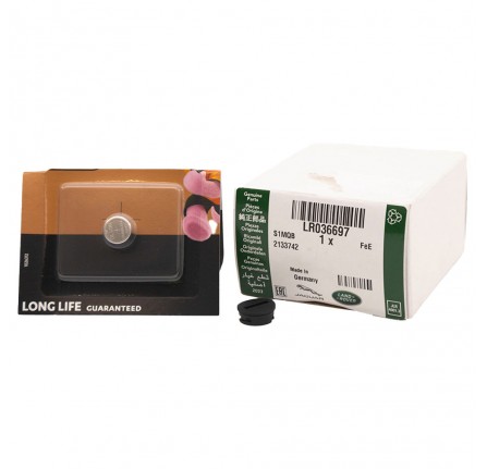 Genuine Park Remote Battery & Cover