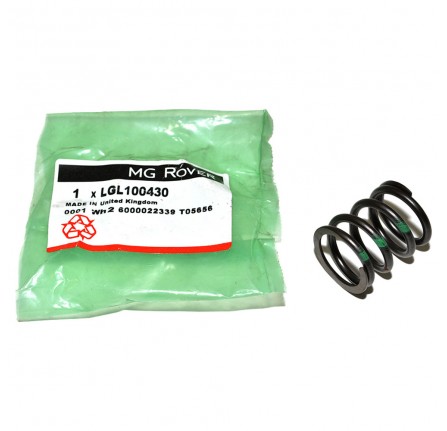 2.0 L Tcie Sylinder Head Valve Spring
