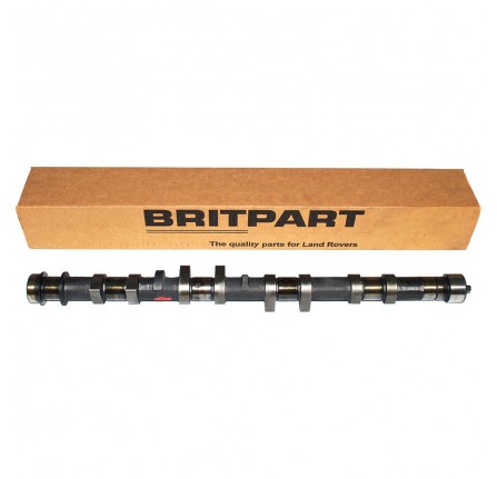Exhaust Camshaft Assy