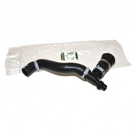 Genuine Top Hose - Radiator