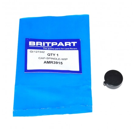 Wiper Arm Cap