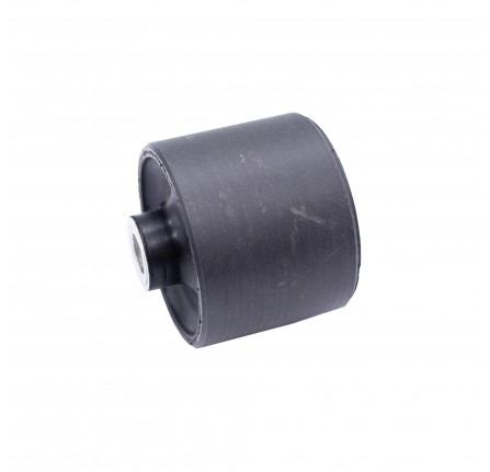 Bush Front Raduis Arm Front R/R 95-02 FB12