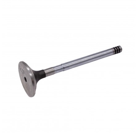 Exhaust Valve 200/300 T.D.I.