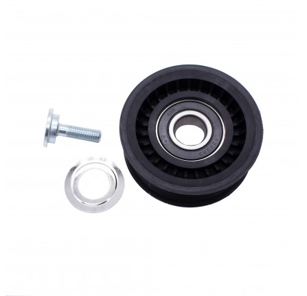 Idler Wheel on Fan Mounting Bracket 4.4L V8 Diesel