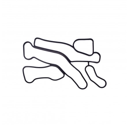 Oil Housing to Oil Cooler Gasket 4.4L V8 Diesel