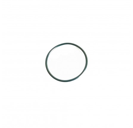 Genuine Crank Shaft O Ring 2.2 TD4 Diesel