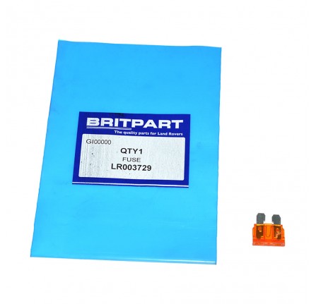 Fuse 5 Amp Blade Type Tan Colour