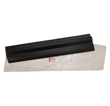 Genuine LH Door Moulding with Body Cladding