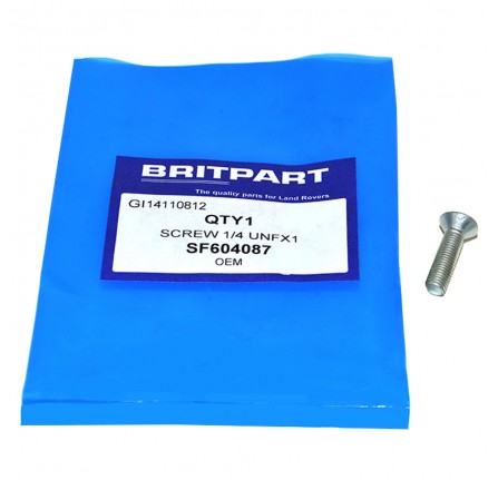 Counter Sunk Screw for Upper Tailgate Lock Range Rover Classic Classic
