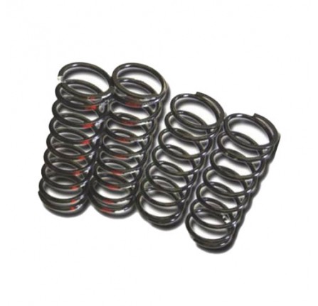 Heavy Duty Spring Set for Range Rover Classic