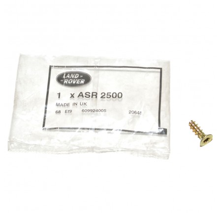 Screw Window Motor to Regulator P38