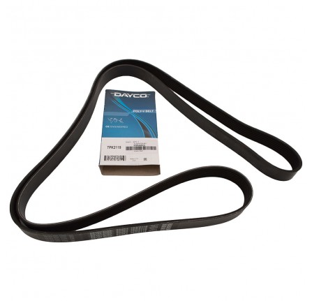 Dayco Alternator Belt P38 V8 with A/C 4.0 Or 4.6 to WA410481