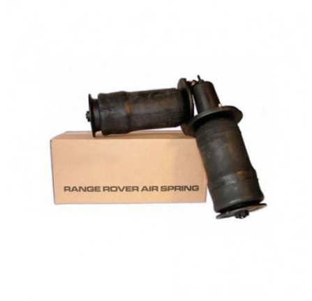 Suspension Air Unit Dunlop O.e. Range Rover Front 1995-02