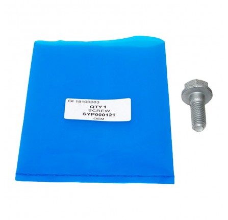 OEM Bolt M10 x 26mm for Rear Caliper