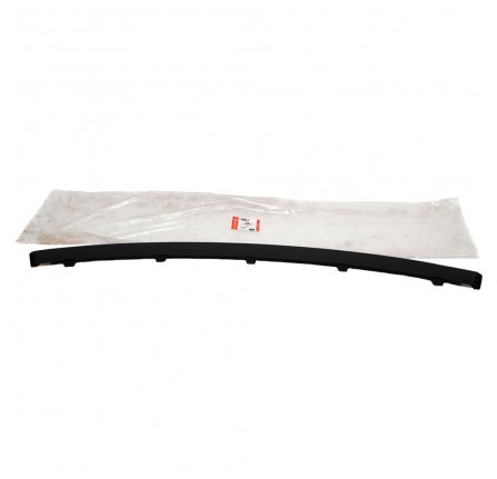 Front Black Bumper Cover Insert