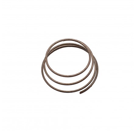 Spring Internal Fuel Pump 1948-59.