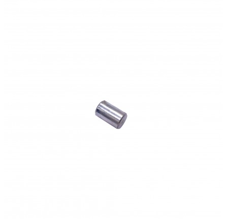 Genuine Roller Large for Freewheel Member