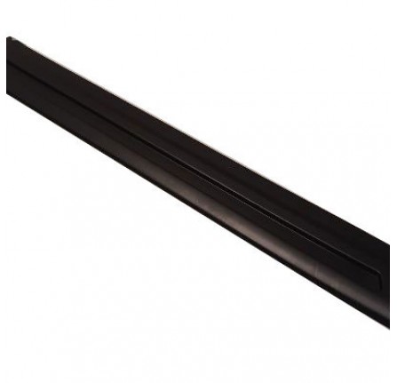 Genuine Rubber Protection Strip Rear Door RH Black Insert
