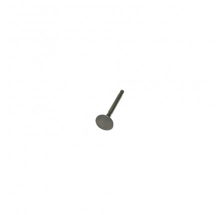 Genuine Exhaust Valve 2.25 Litre Petrol.