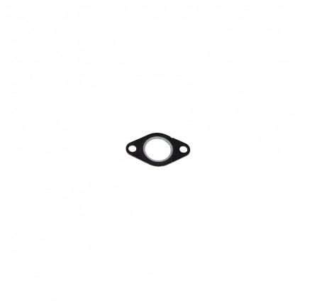 Egr Valve Gasket 200 TDI