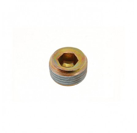 Genuine Plug Rear Of Block
