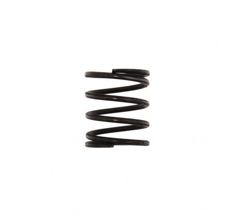 Rocker Shaft Spring