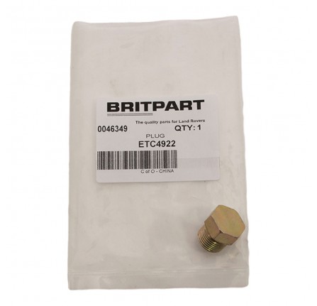 Threaded Plug Oil Gallery Pipe 200/300TDI and 2.5 Petrol