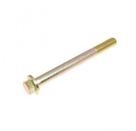 Bolt M10 x100mm