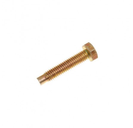 Genuine Door Frame Screw