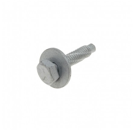 Genuine Special M6 x 30mm Bolt and Washer GC11J3
